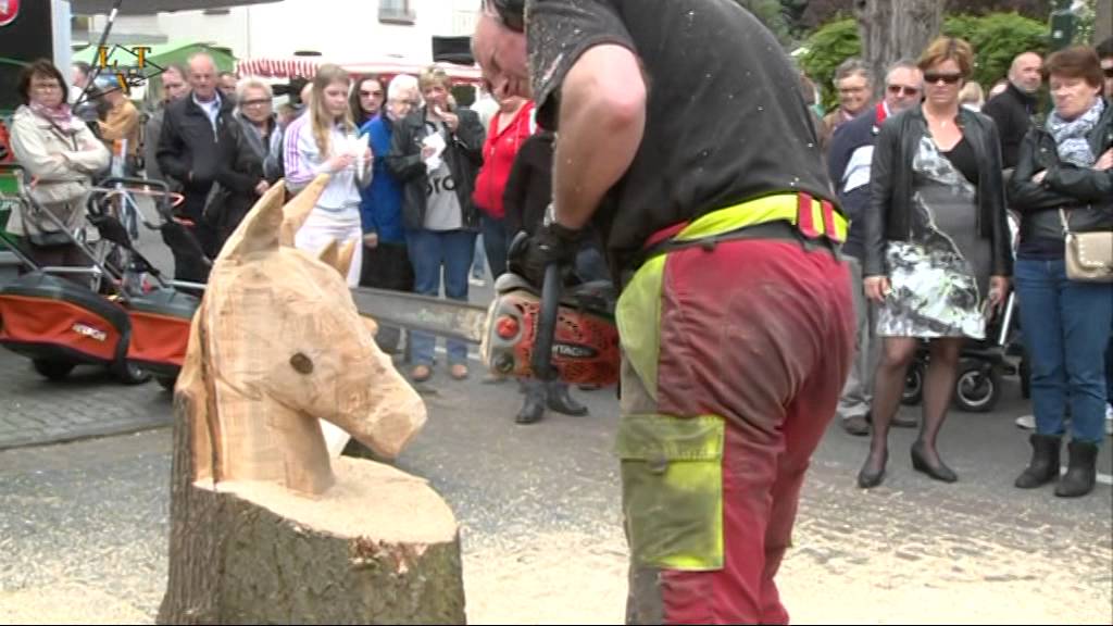 Braderie Schaijk