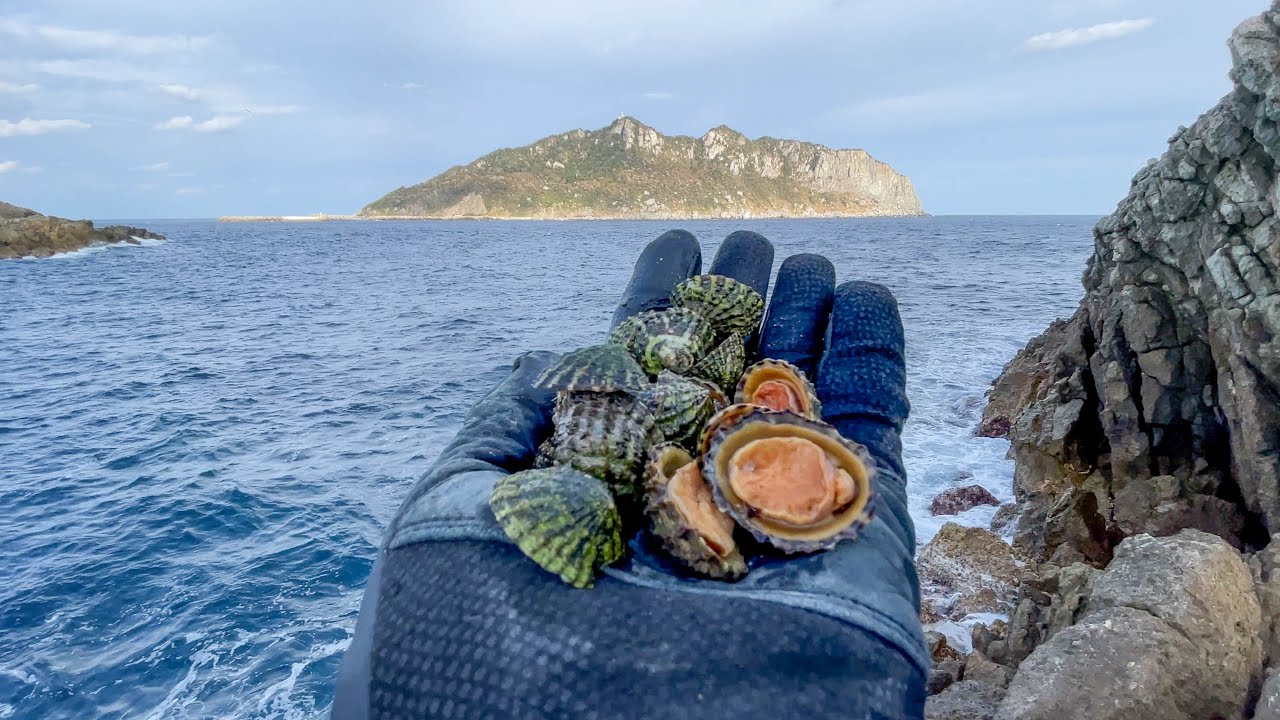 世界遺産の孤島で大物釣り。磯で採れた貝を投げ込むと笑撃の展開に…【福岡県沖ノ島】