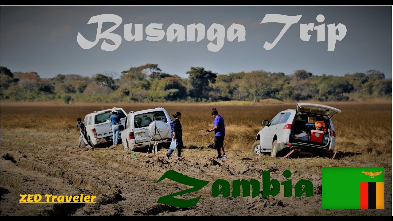 Busanga Plains  Trip / Zambia / Kafue national Park / 2021  ( ZED TRAVELER ) Mk07 / Madhawa Kawshal