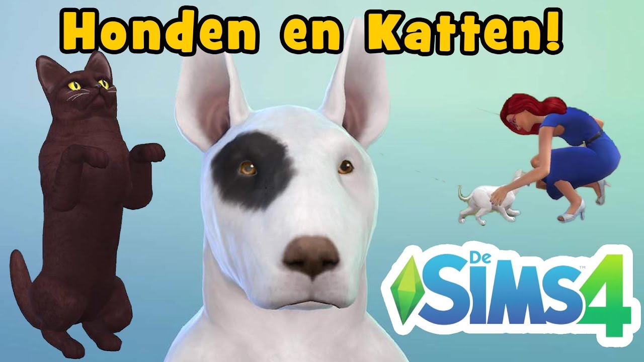 Sims 4 - GamerPapa krijgt een hond! Honden en katten uitbreiding