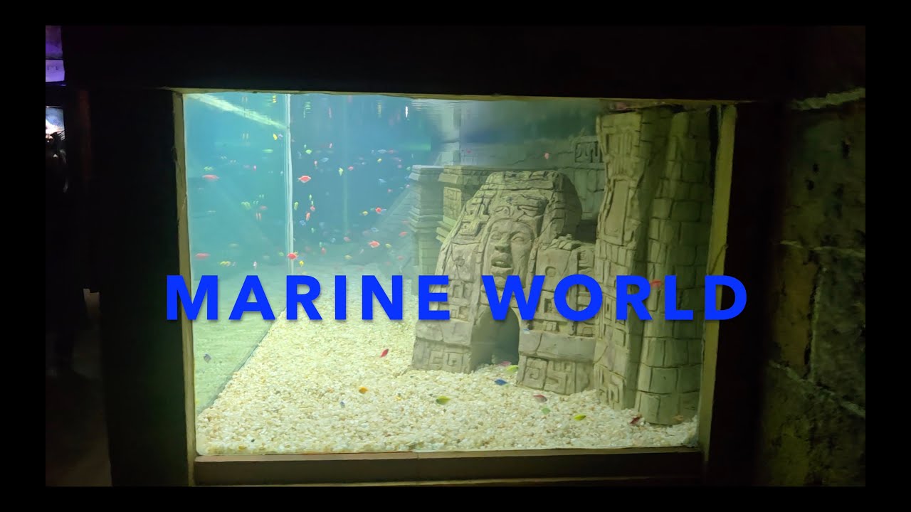 MARINE WORLD