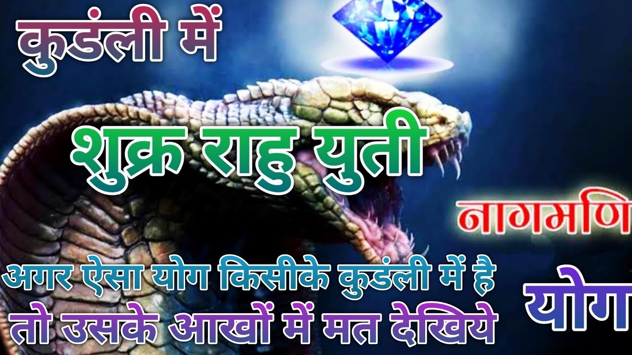 शुक्र राहु युती नागमणी योग