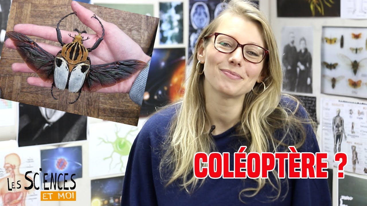 Col&eacute;opt&egrave;re: la d&eacute;finition dans 