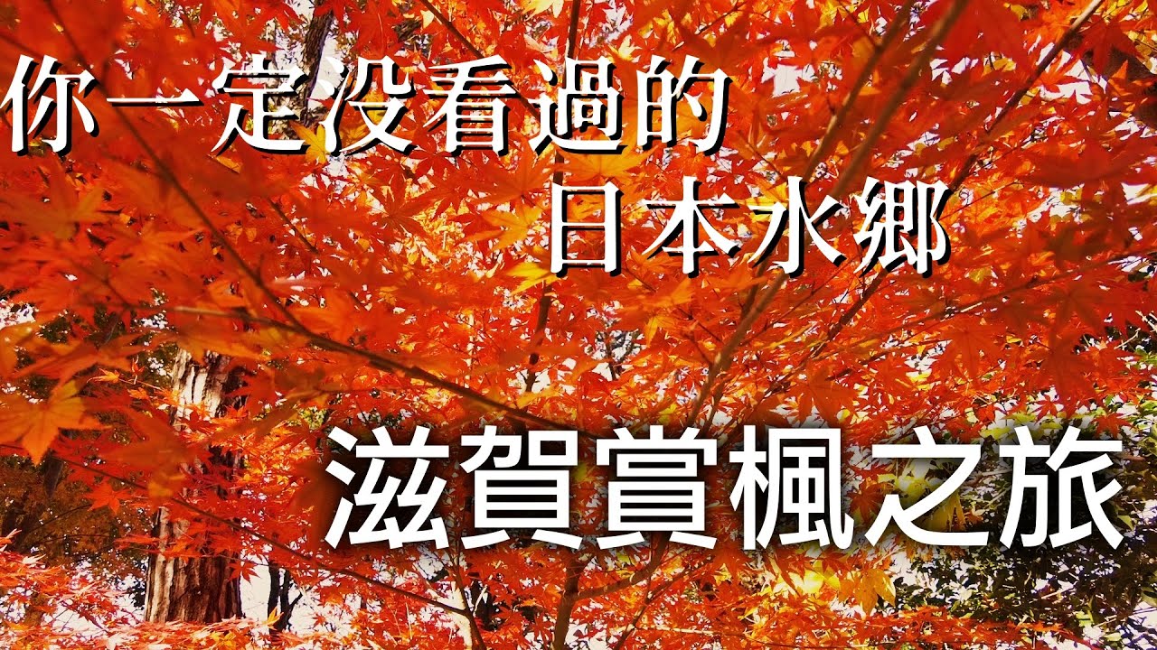 這裏有日本難得一見的水鄉風情.擁有日本最大湖泊的滋賀縣其實也是一個景色優美的賞楓名所!