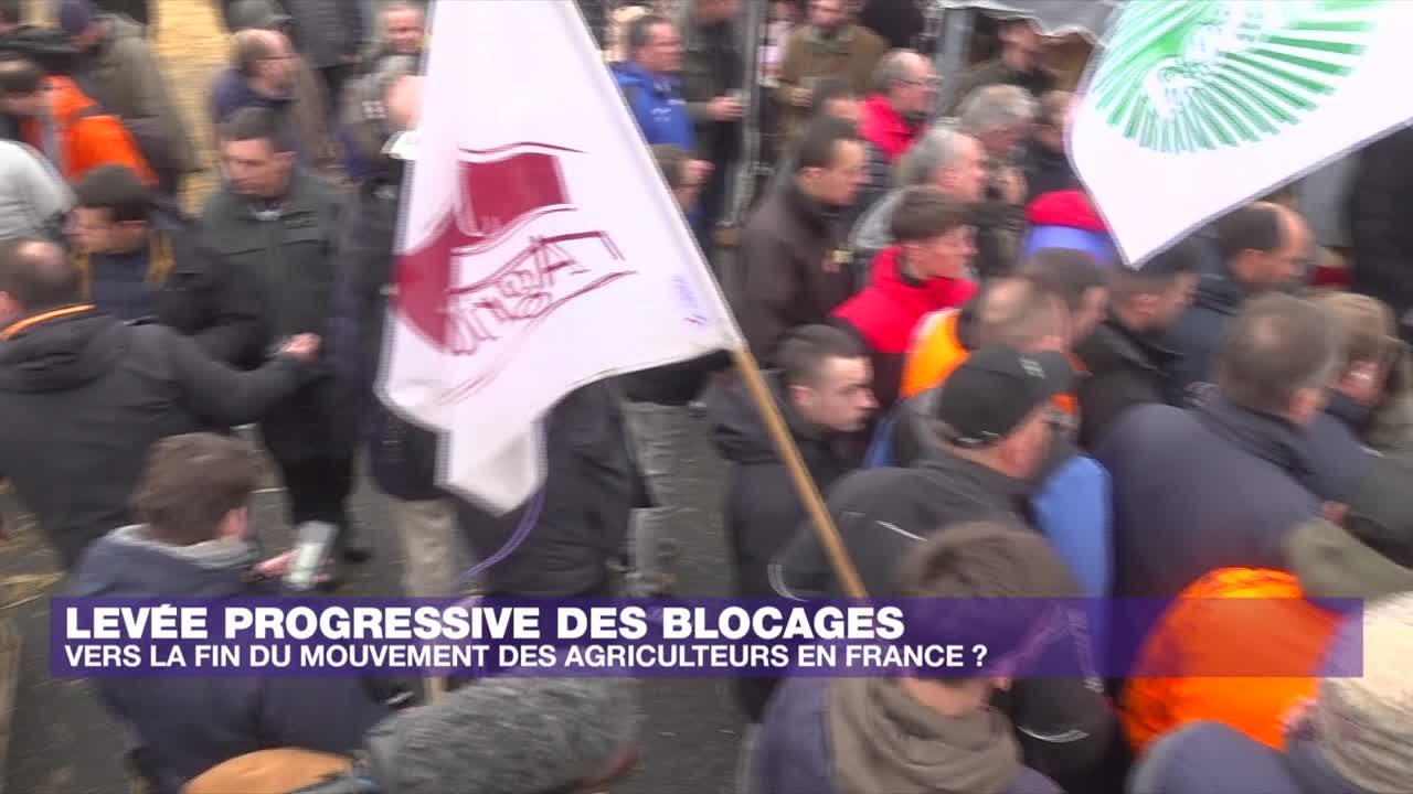 Colère des agriculteurs : quel avenir pour le modèle agricole européen ? • FRANCE 24