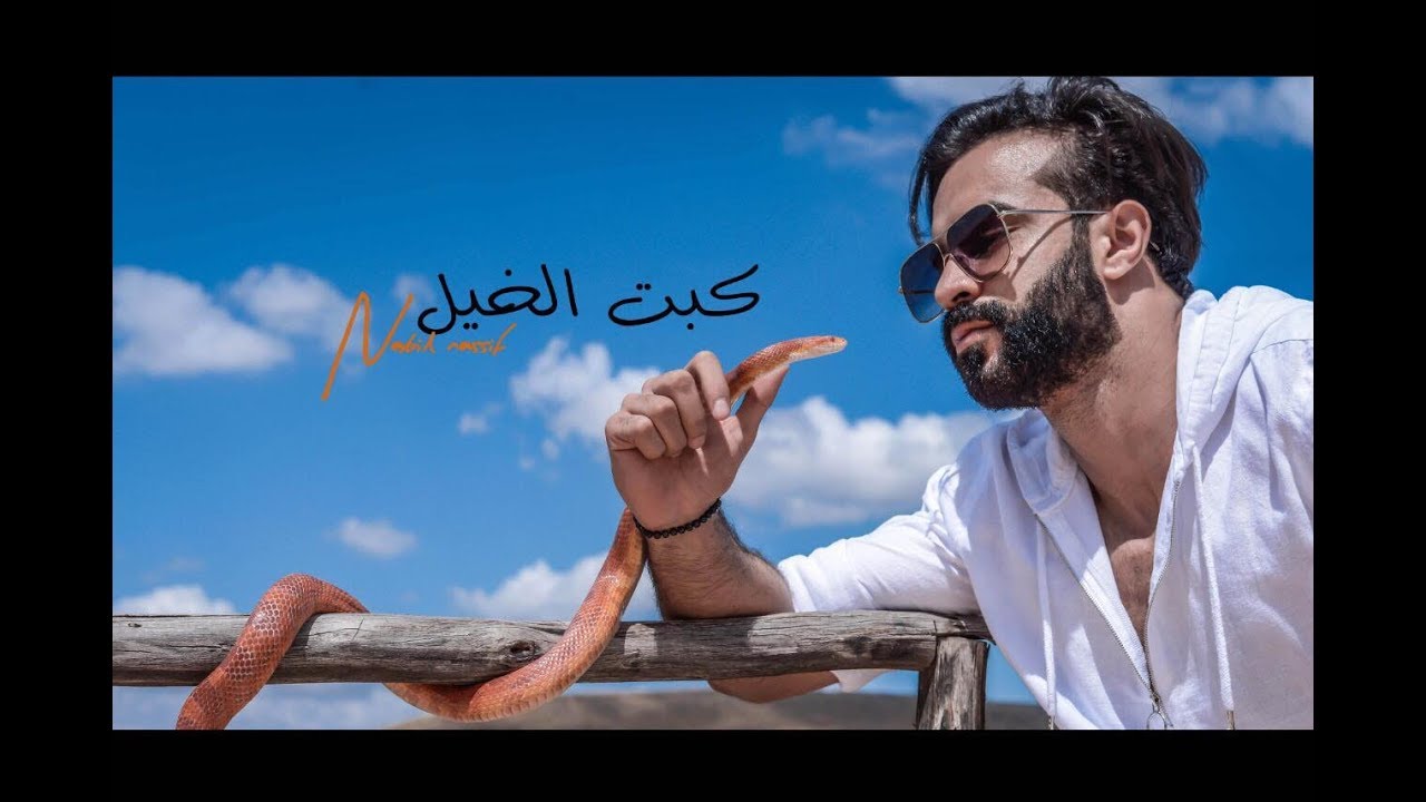 نبيل ناصيف - ولد الصوبة تكبت الخيل