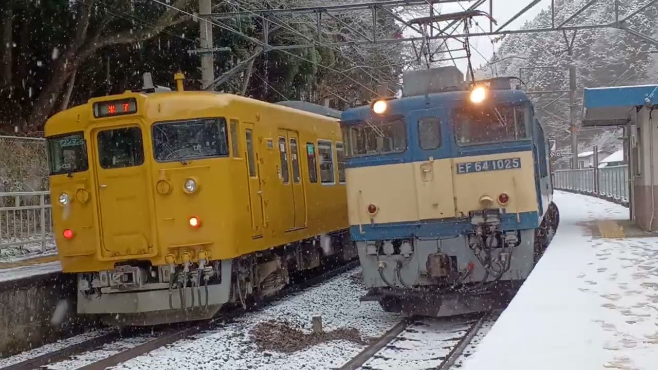 岡山115系G編成と行き違うEF64牽引のはく貨物列車。