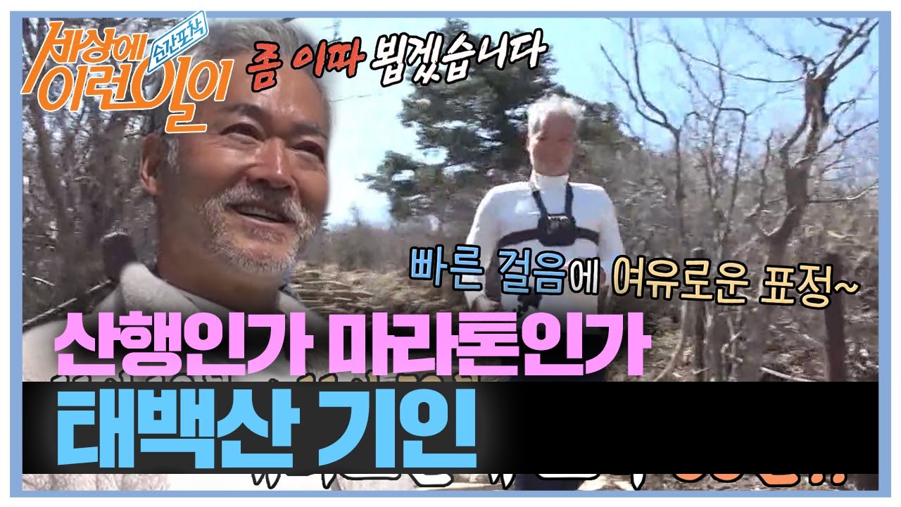 1시간 53분 만에 태백산 왕복하는 남자! #순간포착세상에이런일이 #WhatonEarth #SBSstory