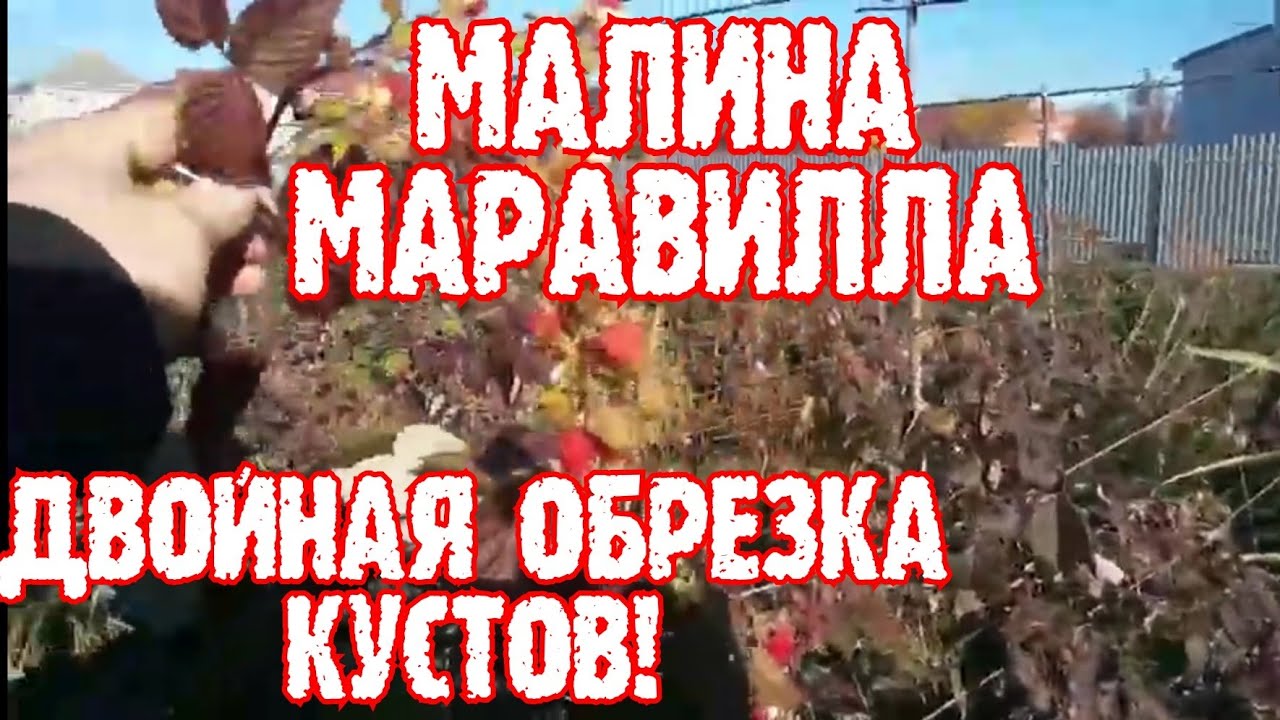 Двойная обрезка, малины маравилла!