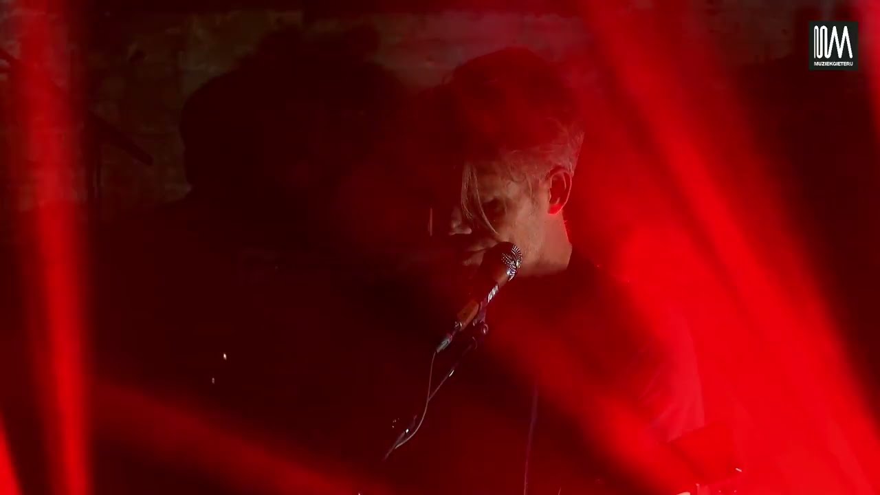 Swell - What I Always Wanted | live 2023 Europe