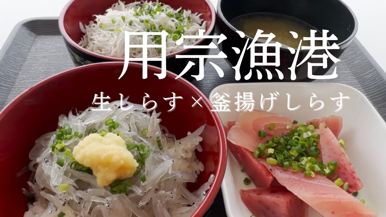 【用宗生しらす旅】採れたて！脂の乗った生しらす×釜揚げしらす！おまけのマグロぶつ切り200円【地元漁港のピカイチを食べる】