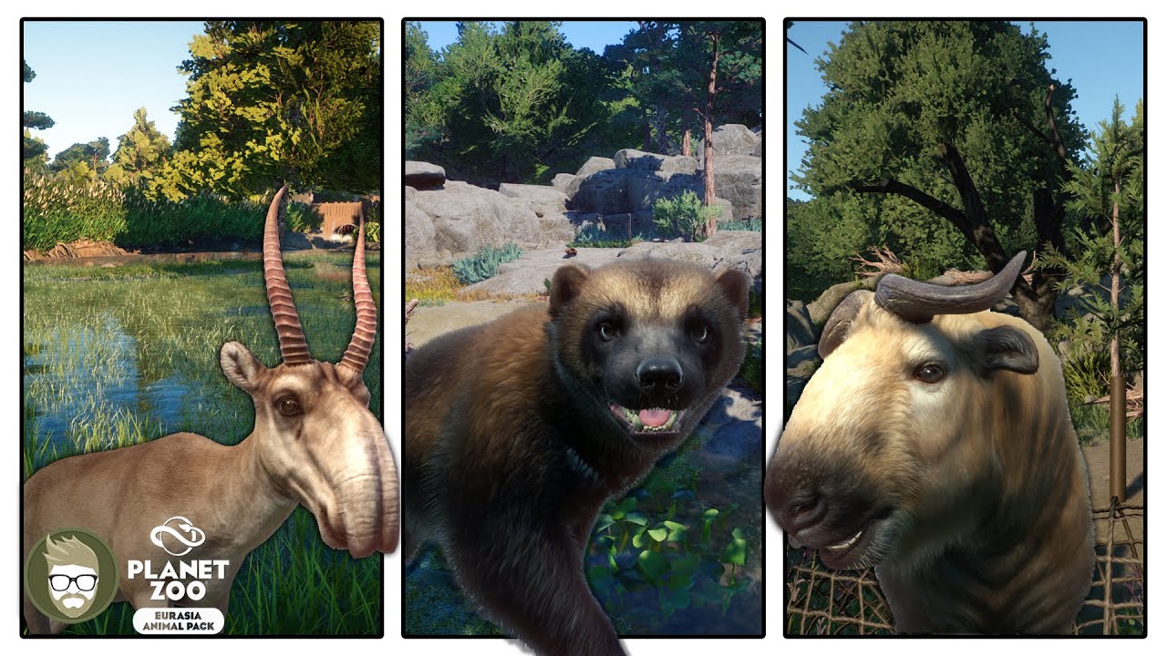 Building the Saiga, Wolverine & Takin Habitats to finish up our Eurasia pack Series | Planet Zoo DLC