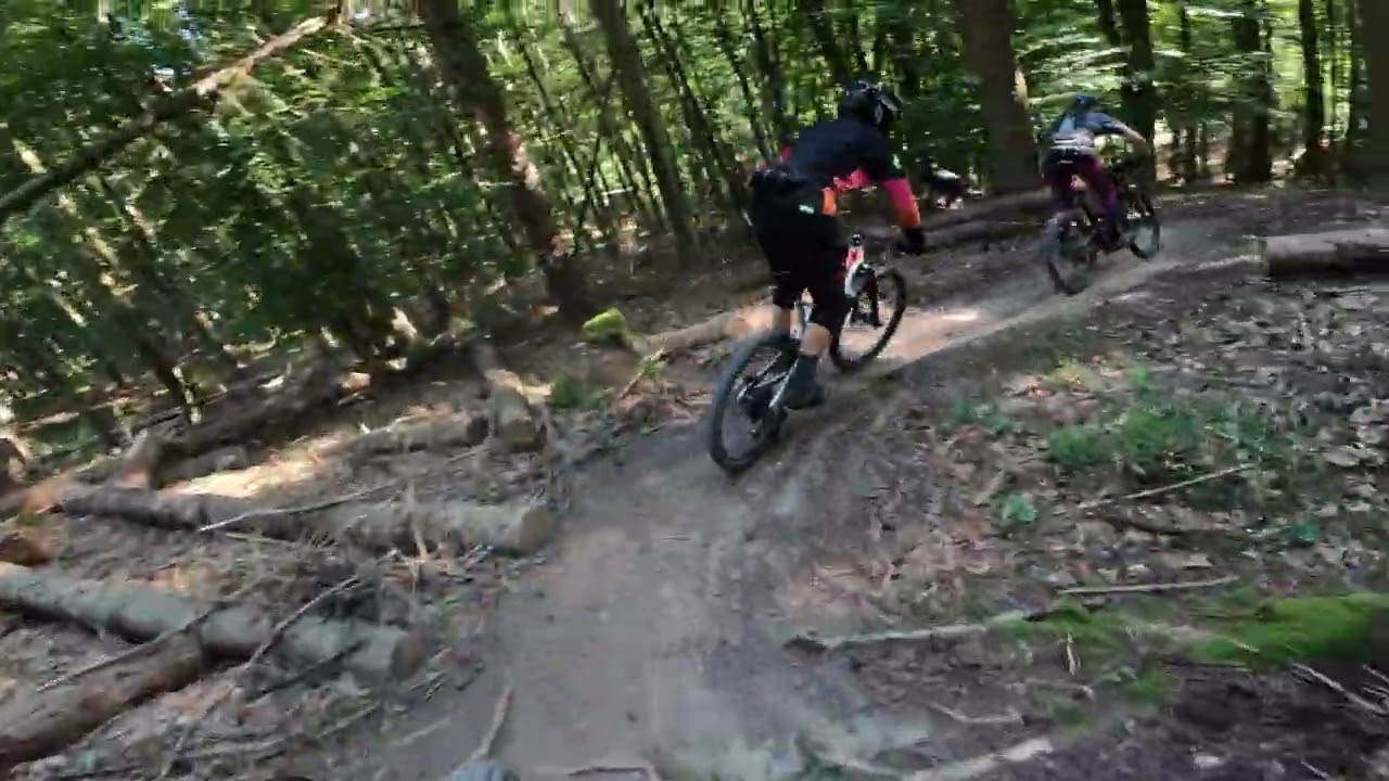 Magic Trail - MTB Korb, Winnenden - Focus Bascet Ride - Shape and Ride