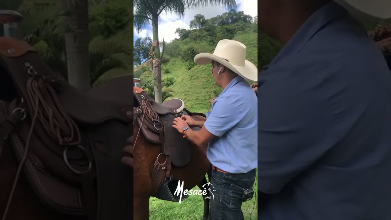 🎥 ¿Tu silla de montar es segura? Revisión paso a paso