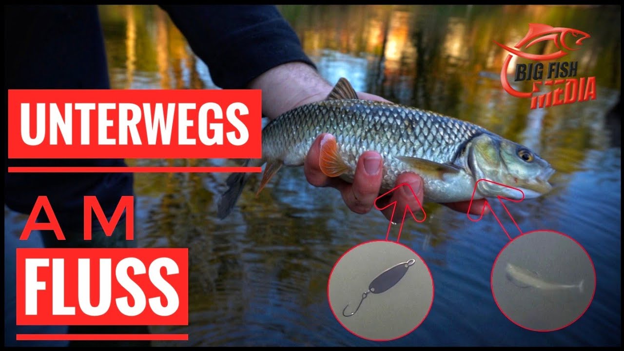 Einfach angeln: Mit der Spinnrute unterwegs am kleinen Fluss