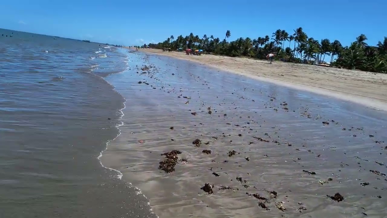 🌴✨ Praia de Jeribatuba – Vera Cruz (Salvador/BA) ✨🌴