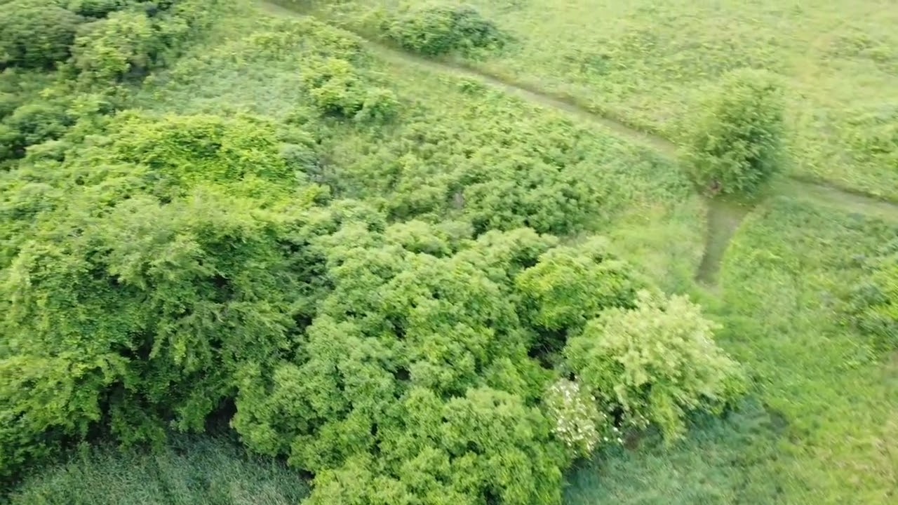summer drone flight