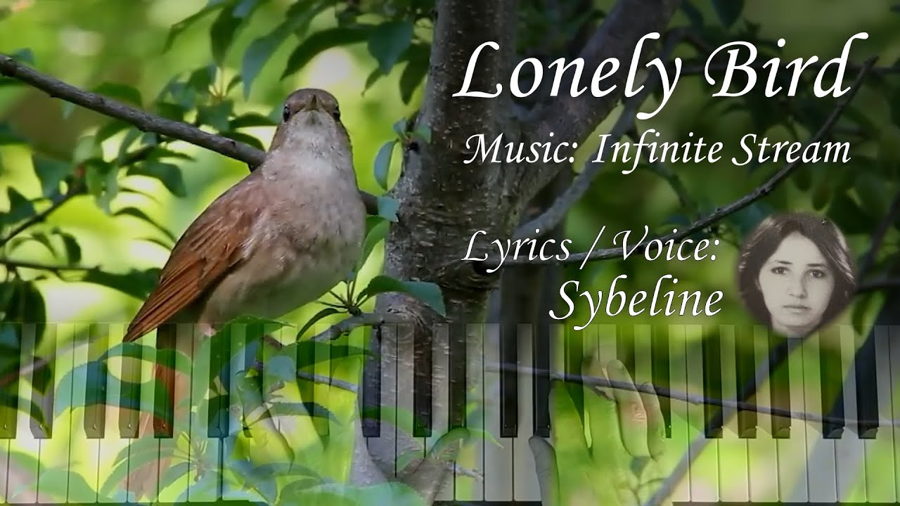 Lonely Bird - Sybeline H. Ammi / Infinite Stream | Piano & voice