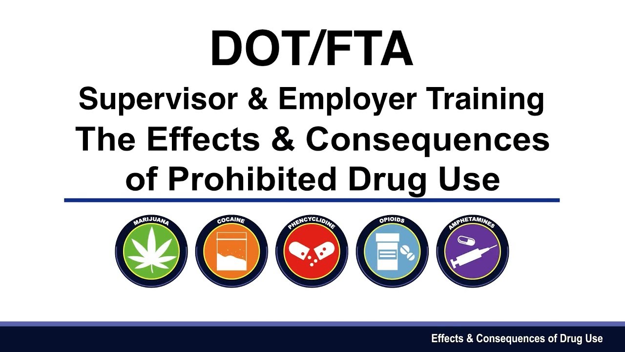 DOT Drug Abuse Awareness Video & Supervisor Training