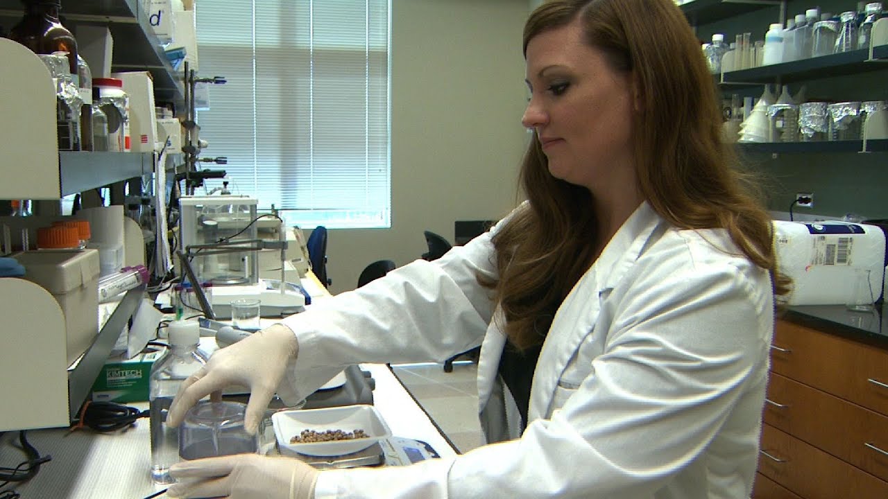 A Spoonful of Beans | North Carolina Science Now | Sci NC