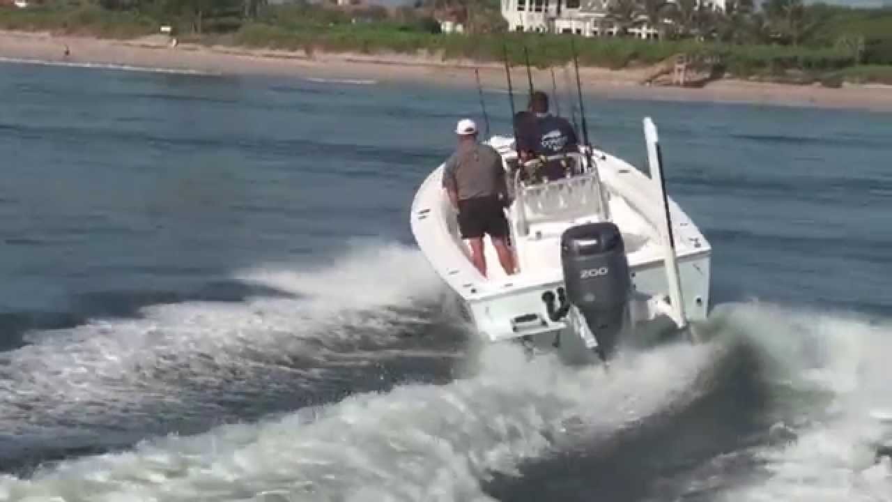 Dorado 23