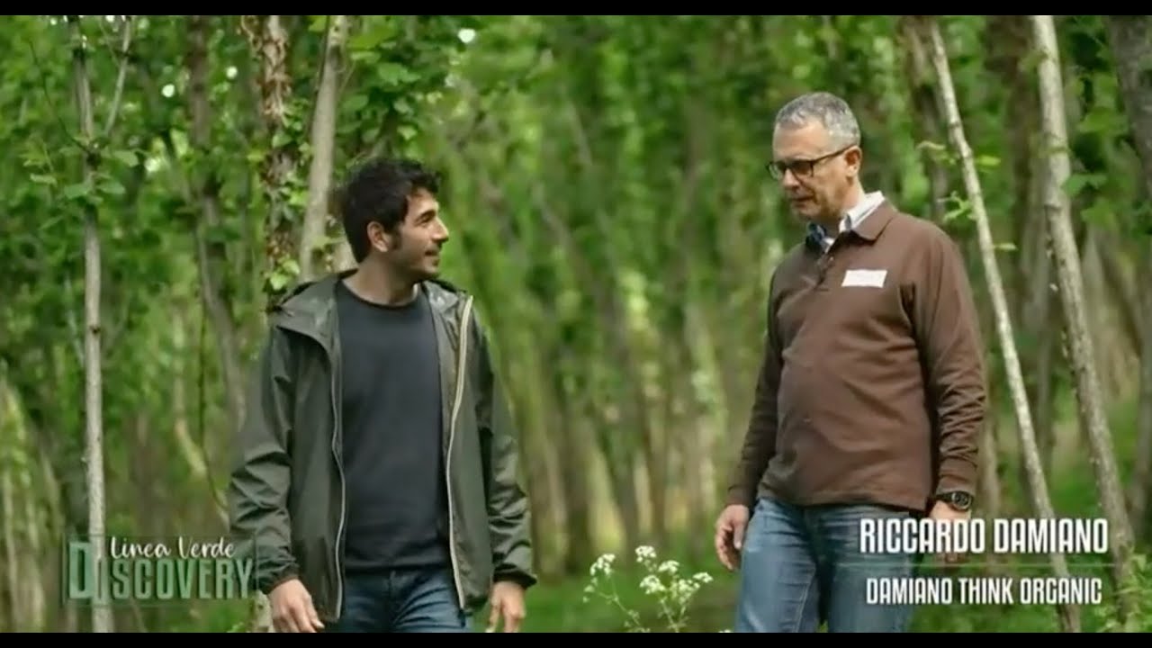 Damiano Organic a linea Verde