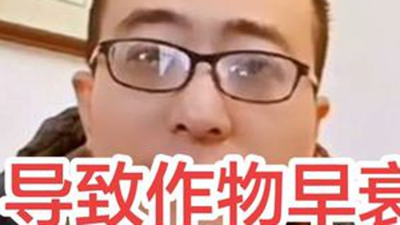 导致作物早衰的原因有哪些#作物早衰 #早衰 #农业种植技术 #分享农业知识帮农民增产增收 #三农