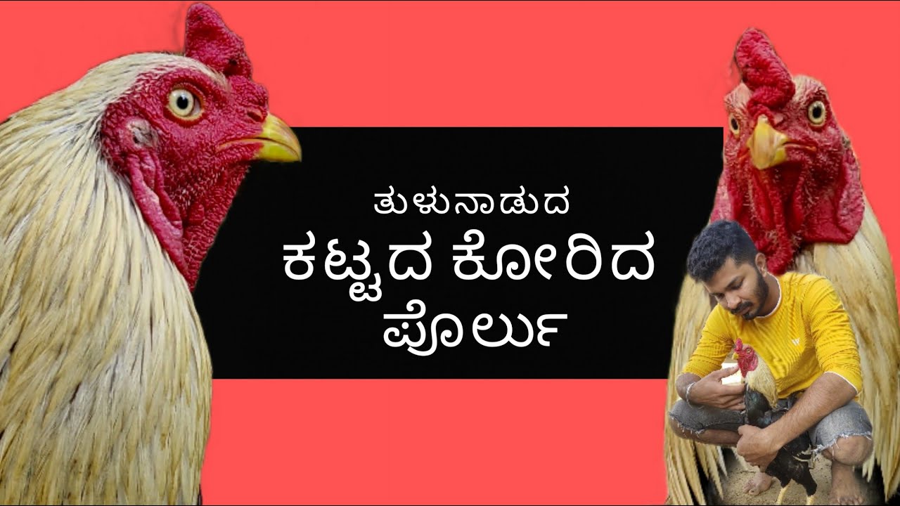 ತುಳುನಾಡ ಕಟ್ಟದ ಕೋರಿದ ಪೊರ್ಲು |tulunada kattada korida porlu | Aathmeeyaa Creations |