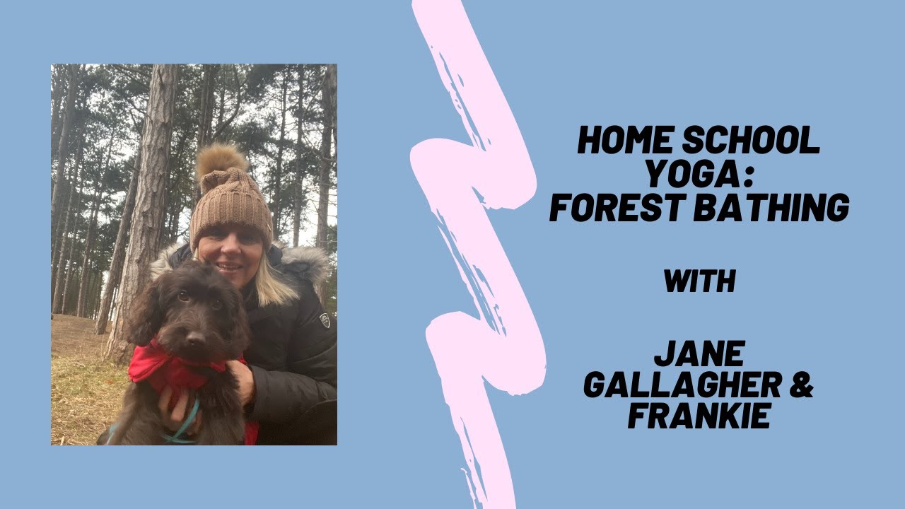 Forest Bathing