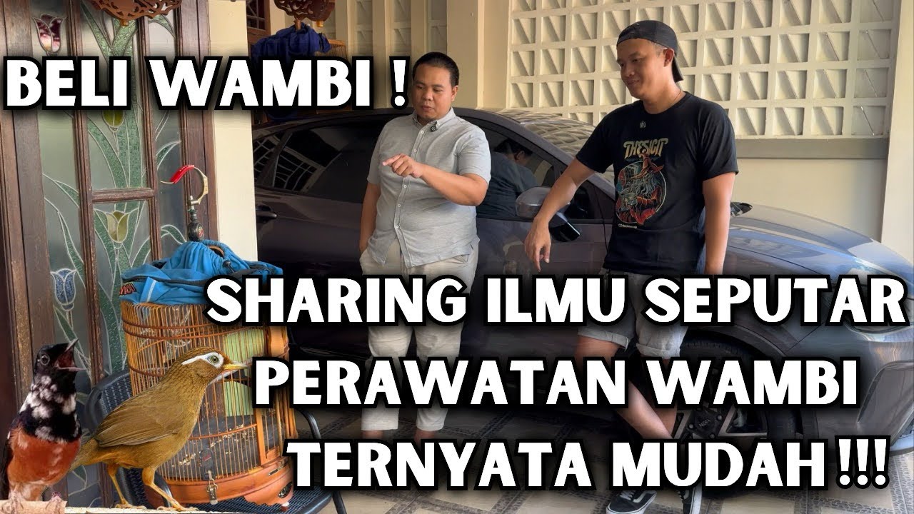 BELI WAMBI & SHARING ILMU SEPUTAR PERAWATAN WAMBI. TERNYATA MUDAH ‼️