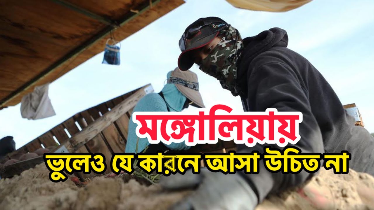 কেন মঙ্গোলিয়া যাওয়া উচিত না? | Why You Should Not Go for Work in Mongolia
