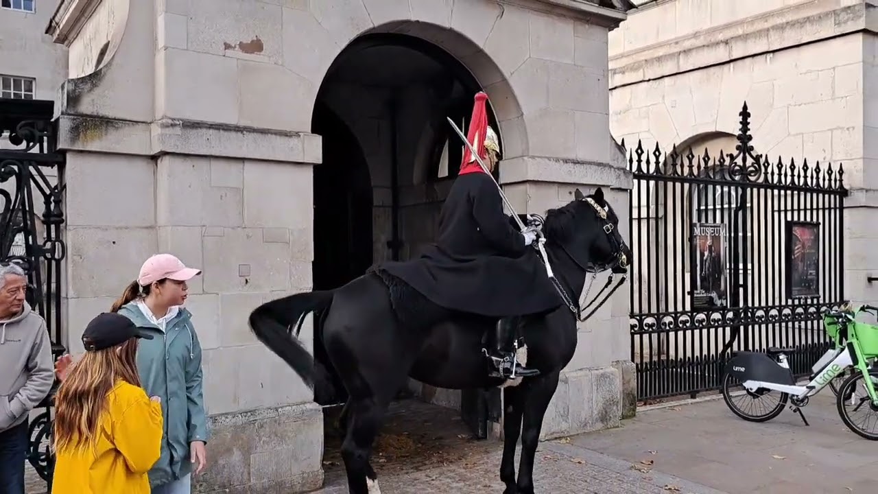 horse won't stay In the box #horseguardsparade