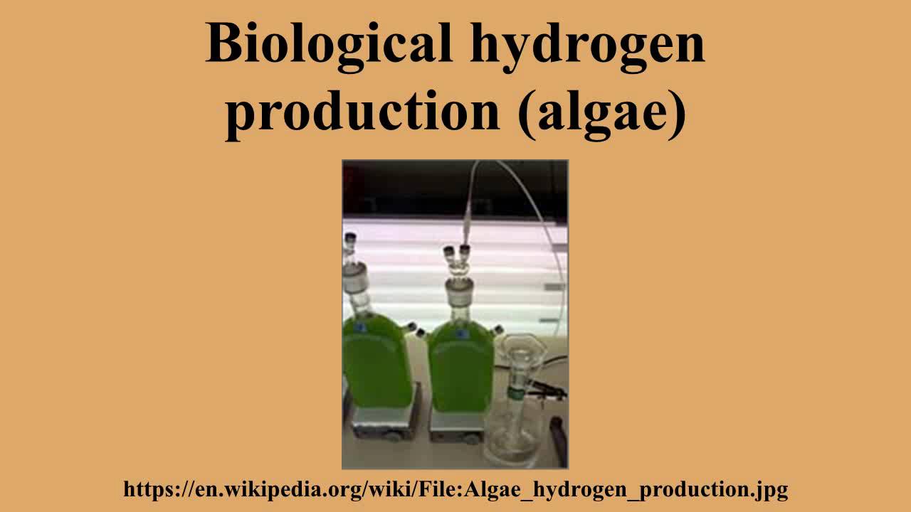 Biological hydrogen production (algae)