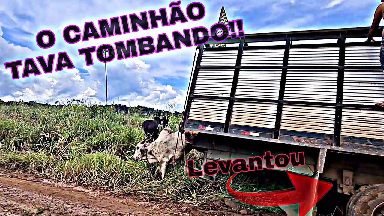 PARANAITA-MT...EP.4/SOLTOU A CARGA DE BOi...077/22