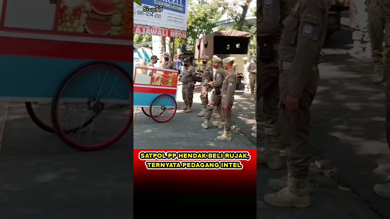 SATPOL PP GAK JADI NGEBORONG RUJAK #bravo #intel #intelmenyamar #viral