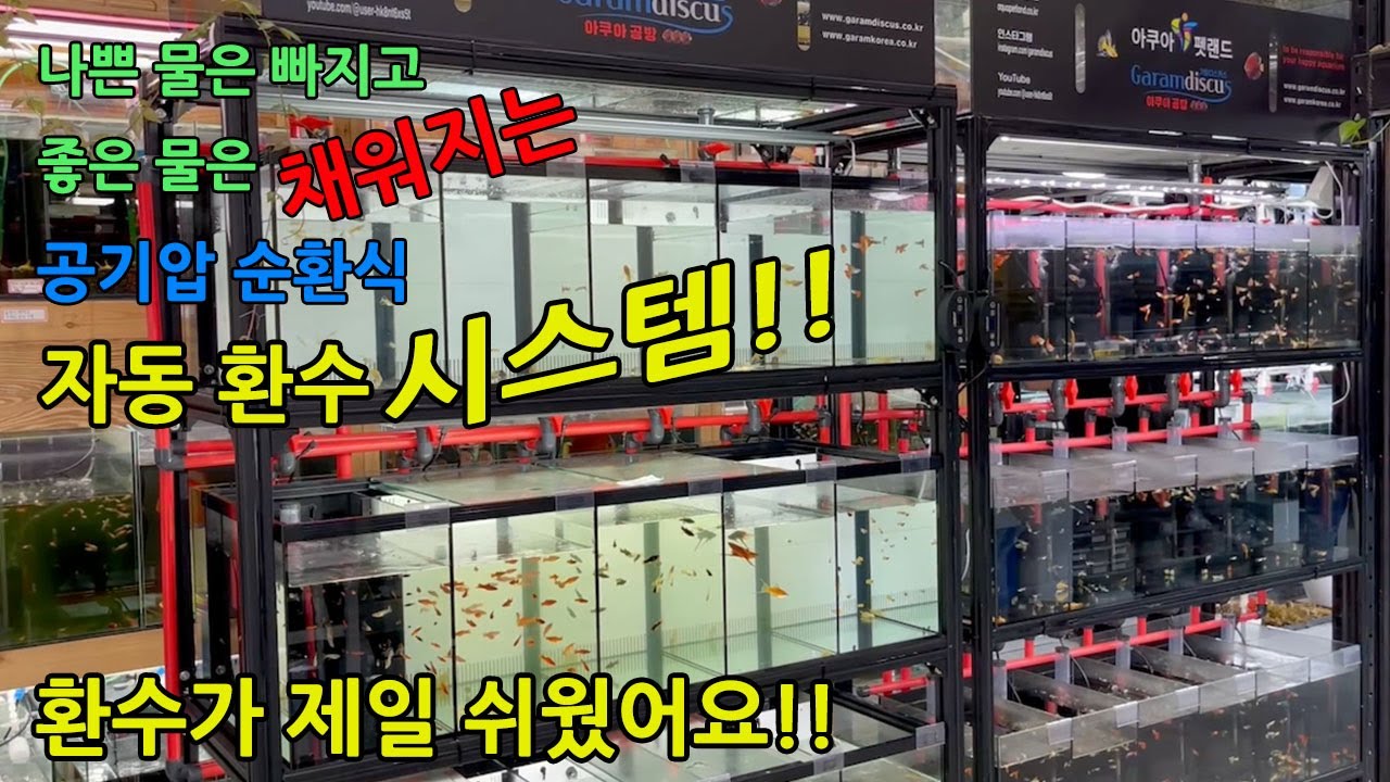 좋은 물만 드려요! 나쁜 물은 빠지고 좋은 물은 채워지는 공기압 순환식 자동 환수 시스템 어항!! 소개 합니다!!