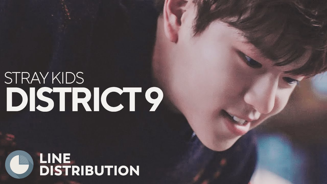 STRAY KIDS - District 9 (Line Distribution)