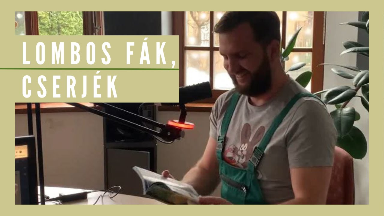 Lombos fák, cserjék | Útmutató növény választáshoz