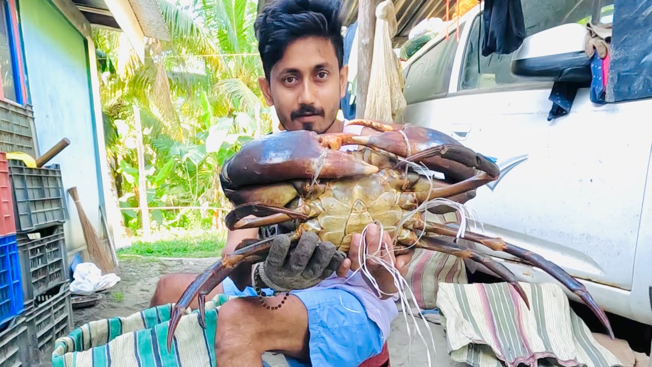 1 টা কাকড়া যে 3kg হতে পারে, না দেখলে বিশ্বাস করতে পারবে না @ANDAMAN_HUNTERS 