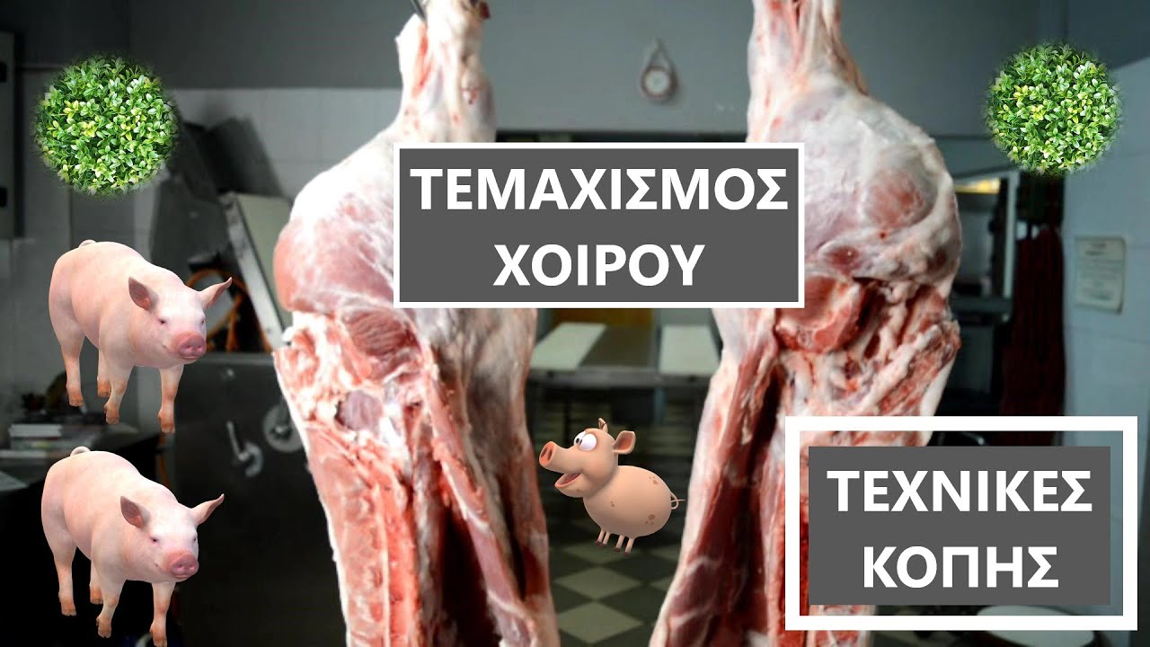 Τεχνικές κοπής!!!-Τεμαχισμός χοίρου-