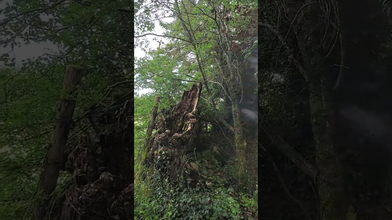 balade du silence  j apprecie (2)