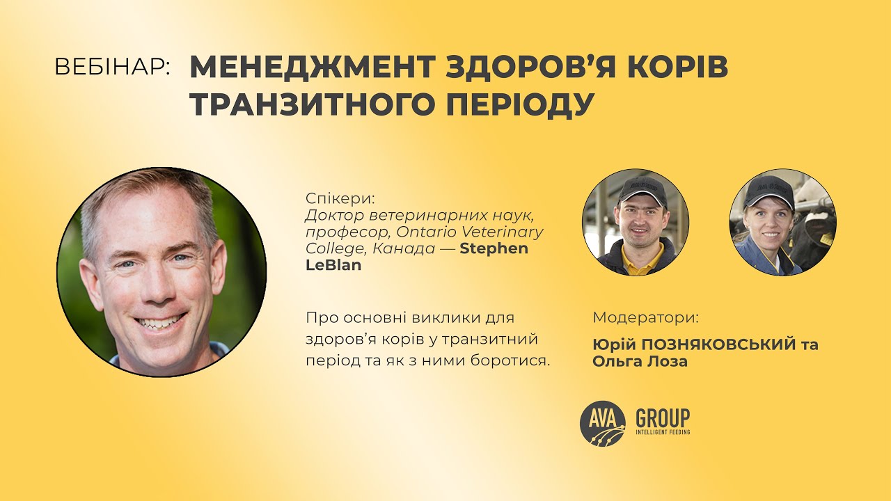 ВЕБІНАР &laquo;МЕНЕДЖМЕНТ ЗДОРОВ&rsquo;Я КОРІВ ТРАНЗИТНОГО ПЕРІОДУ&raquo;, STEPHEN LEBLANC | ВРХ