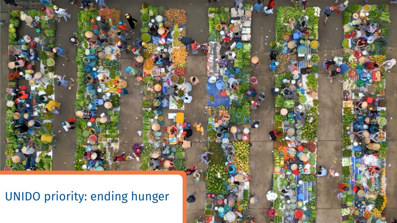 UNIDO priority video 2025: ending hunger
