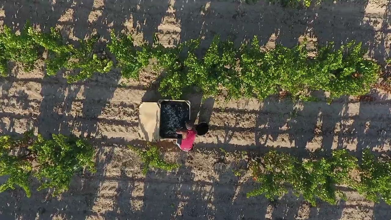 Queir&oacute;n, la bodega de Onta&ntilde;&oacute;n Familia en Quel (DOCa Rioja) - 2