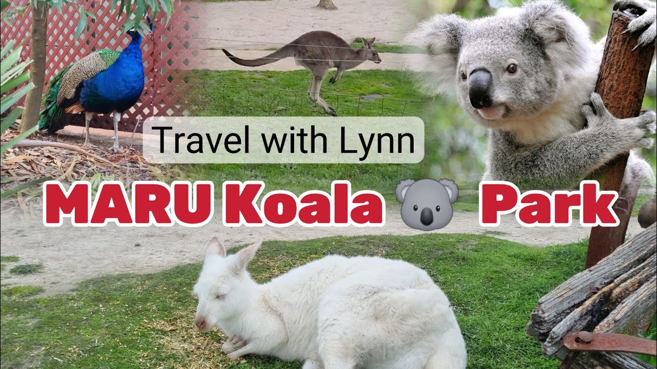 Travel with Lynn to Maru Koala & Animals Park | Phillip Island