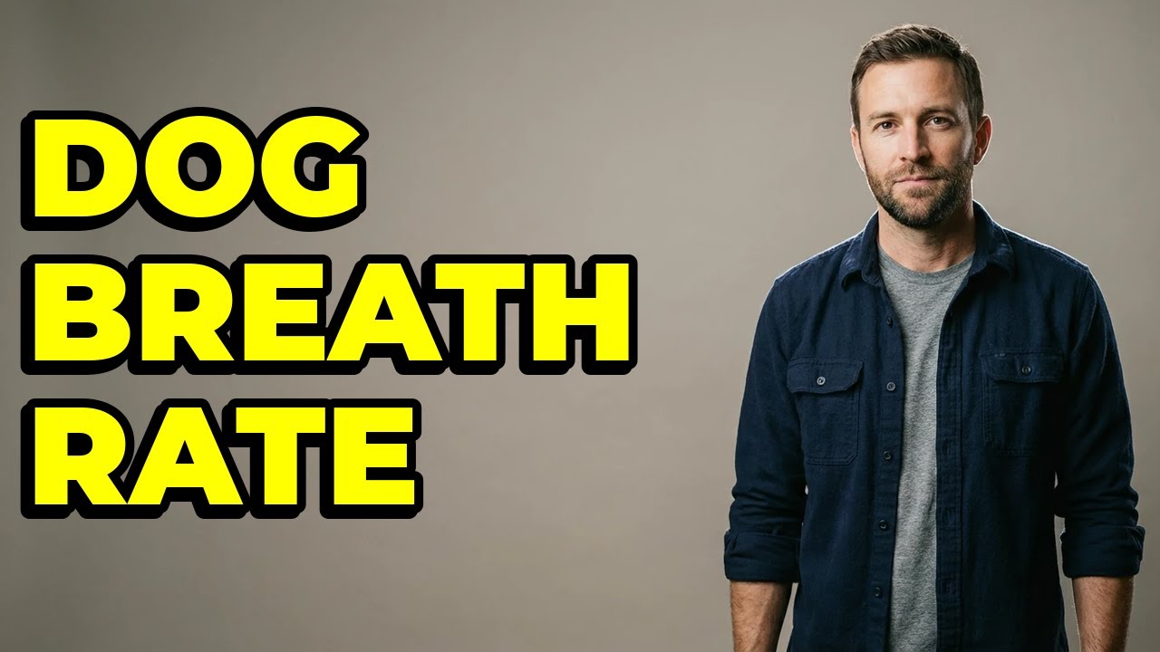 What Is A Healthy Dog's Breathing Rate Camping?
