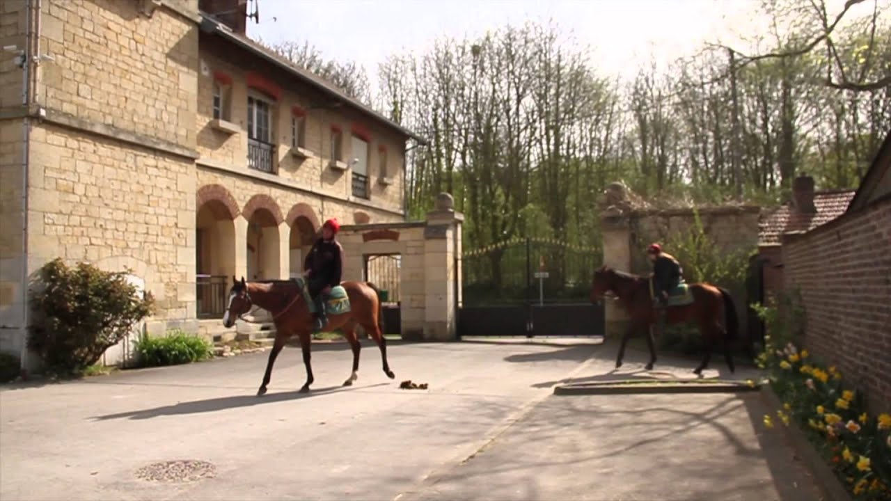 Des métiers de passion - Ecole des Courses Hippiques AFASEC