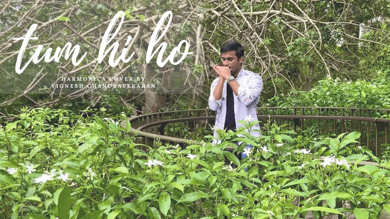 Tum Hi Ho - Aashiqui 2 [Harmonica Cover]