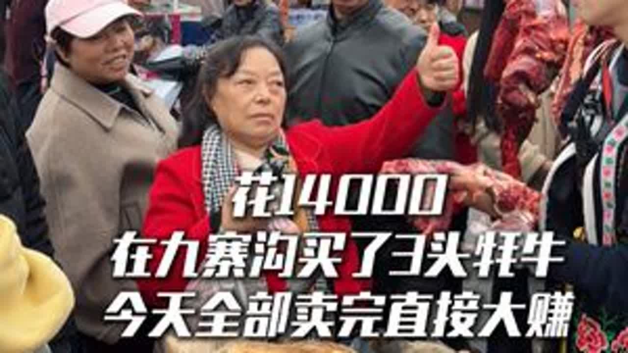 花14000在九寨沟买了3头牦牛 今天把最后一头也卖完了，算了下总账，让我赚得不少哈哈哈#新农人2025 #牦牛 #摆摊日记 #生活的烟火气息 #欢欢羌族姑娘