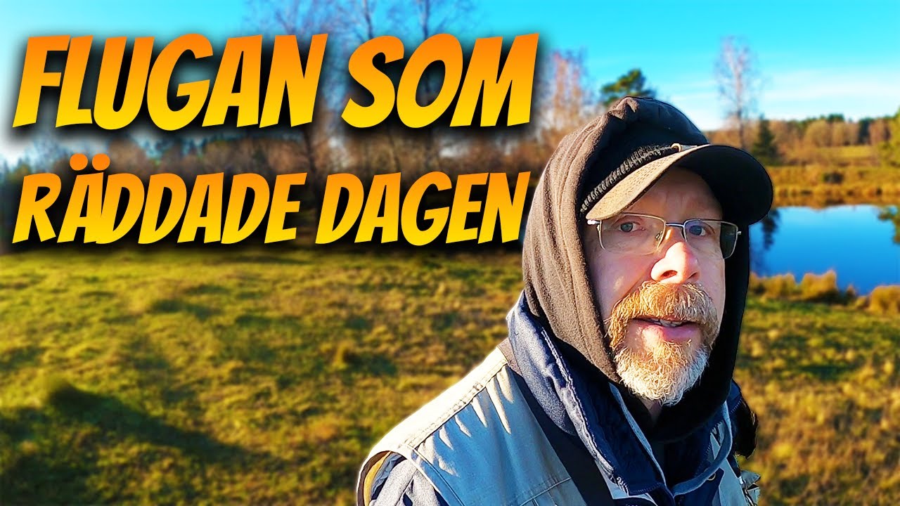 Trögt, Kallt Fiske, men Favoritflugan Levererar! | Fiskelycka